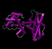 Retinoblastoma protein (transglutaminase)